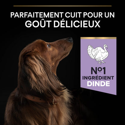 Pro Plan Sensitive Digestion No Grain Small &amp; Mini Adult à la dinde - croquettes chien