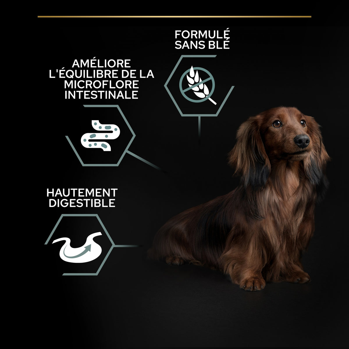 Pro Plan Sensitive Digestion No Grain Small &amp; Mini Adult à la dinde - croquettes chien