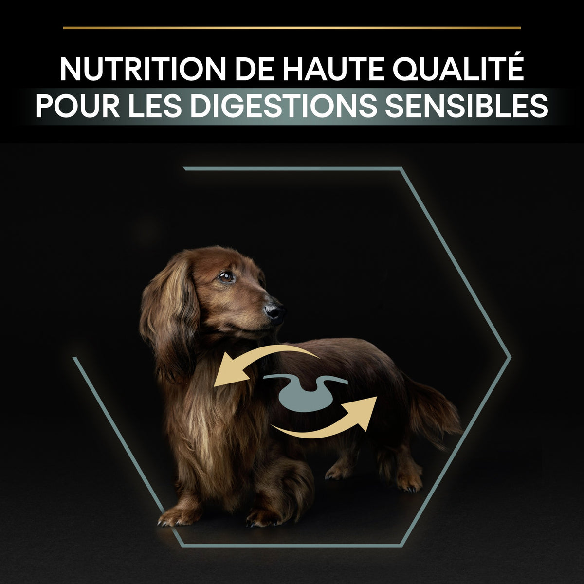Pro Plan Sensitive Digestion No Grain Small &amp; Mini Adult à la dinde - croquettes chien
