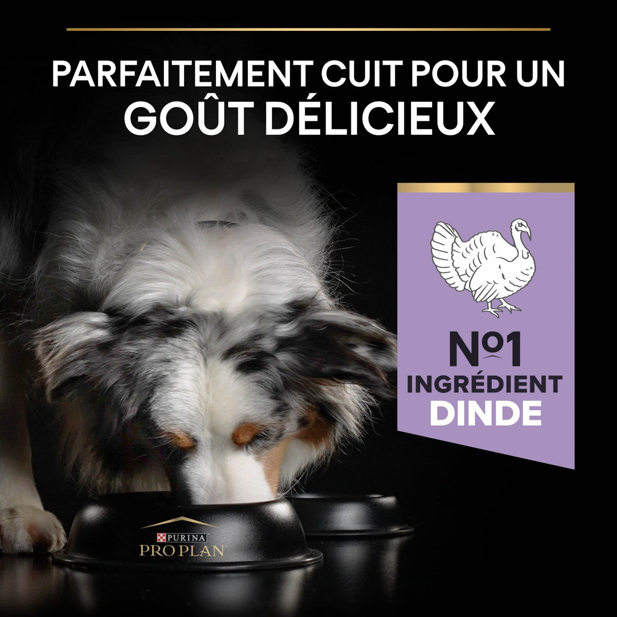 PRO PLAN Sensitive Digestion No Grain Medium &amp; Large Adult à la Dinde - Croquettes pour chien
