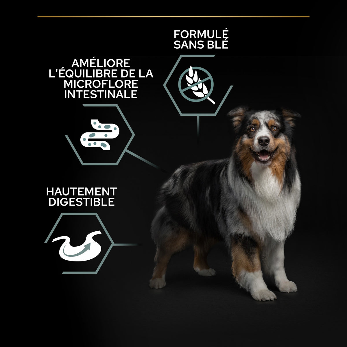 PRO PLAN Sensitive Digestion No Grain Medium &amp; Large Adult à la Dinde - Croquettes pour chien