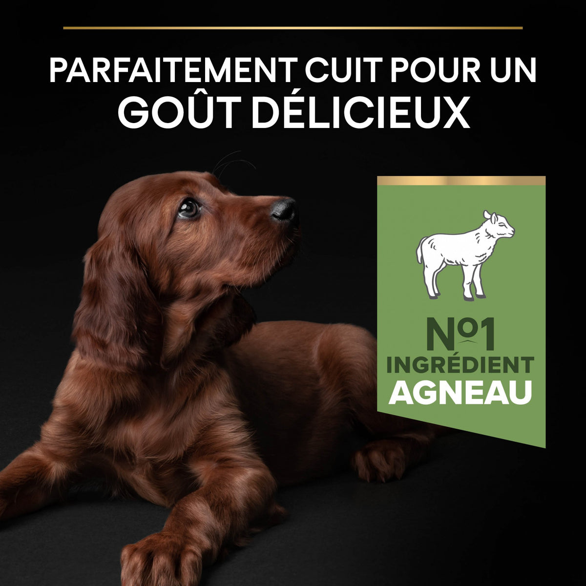 Pro Plan Sensitive Digestion Large Athletic Puppy à l&