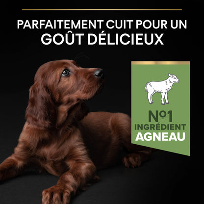 Pro Plan Sensitive Digestion Large Athletic Puppy à l&