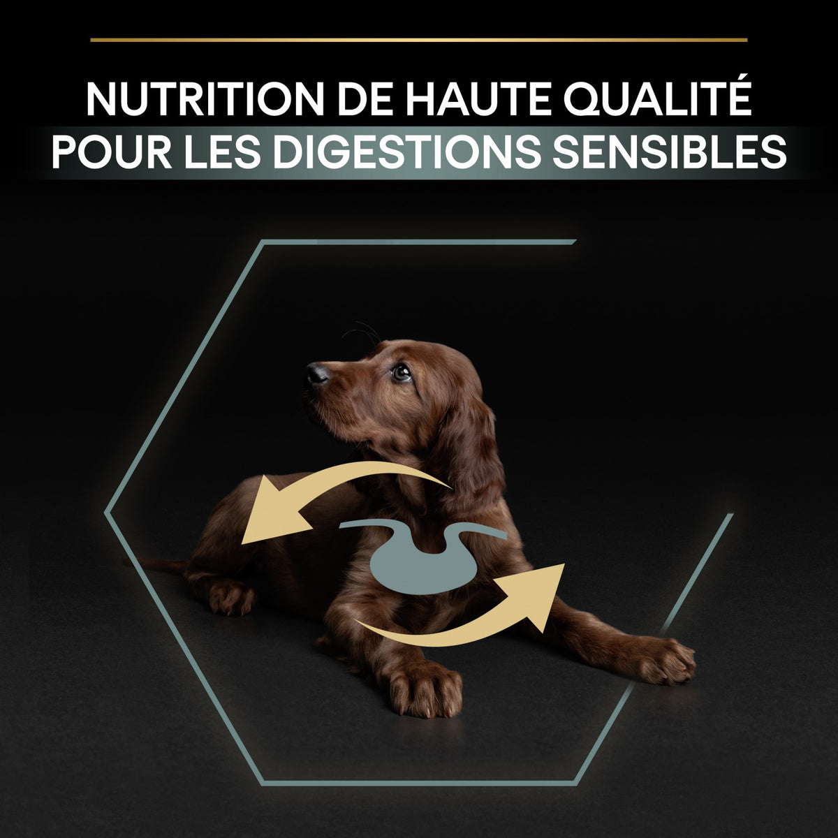 Pro Plan Sensitive Digestion Large Athletic Puppy à l&