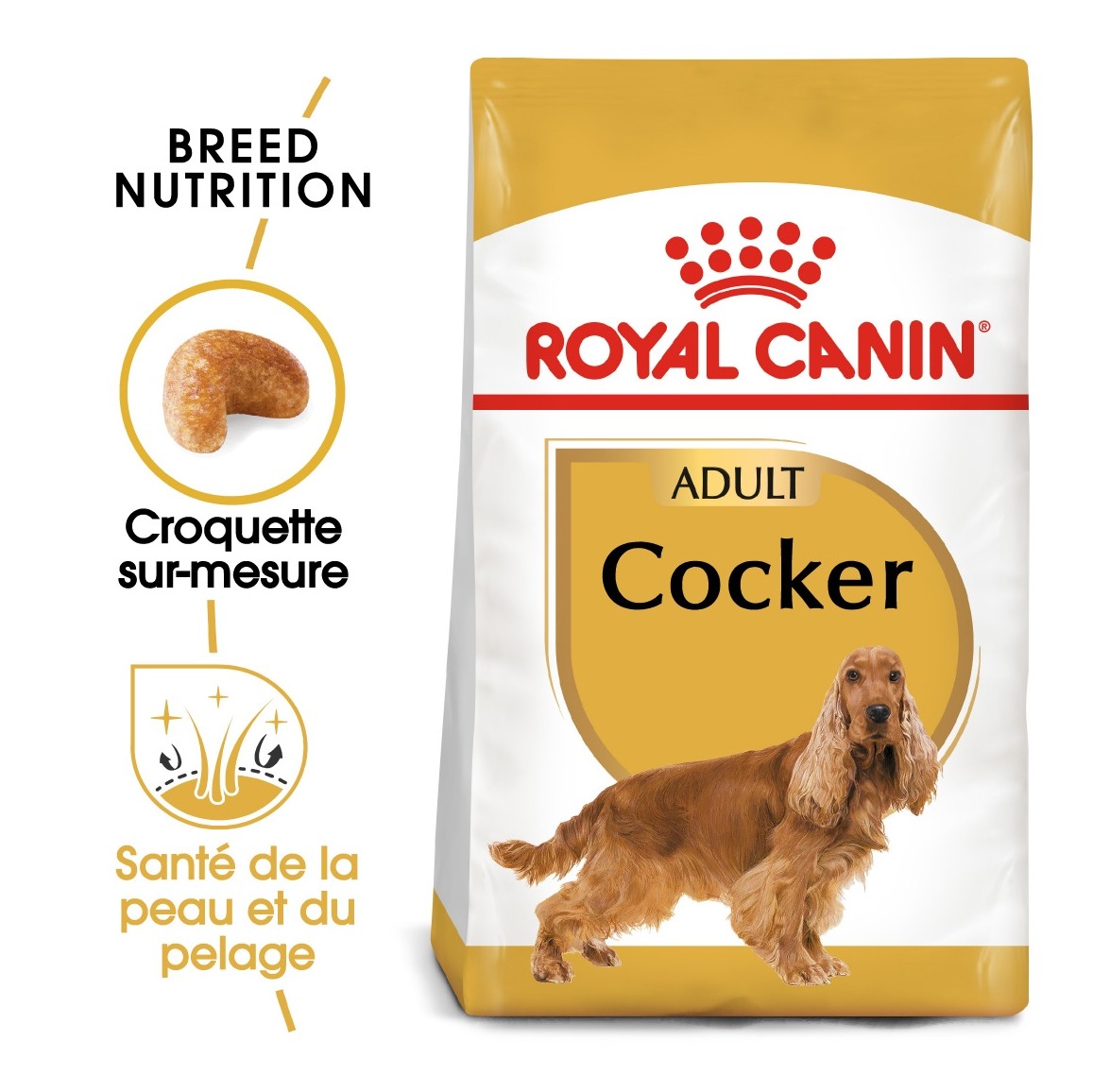 Royal Canin Cocker Adult - croquettes chien