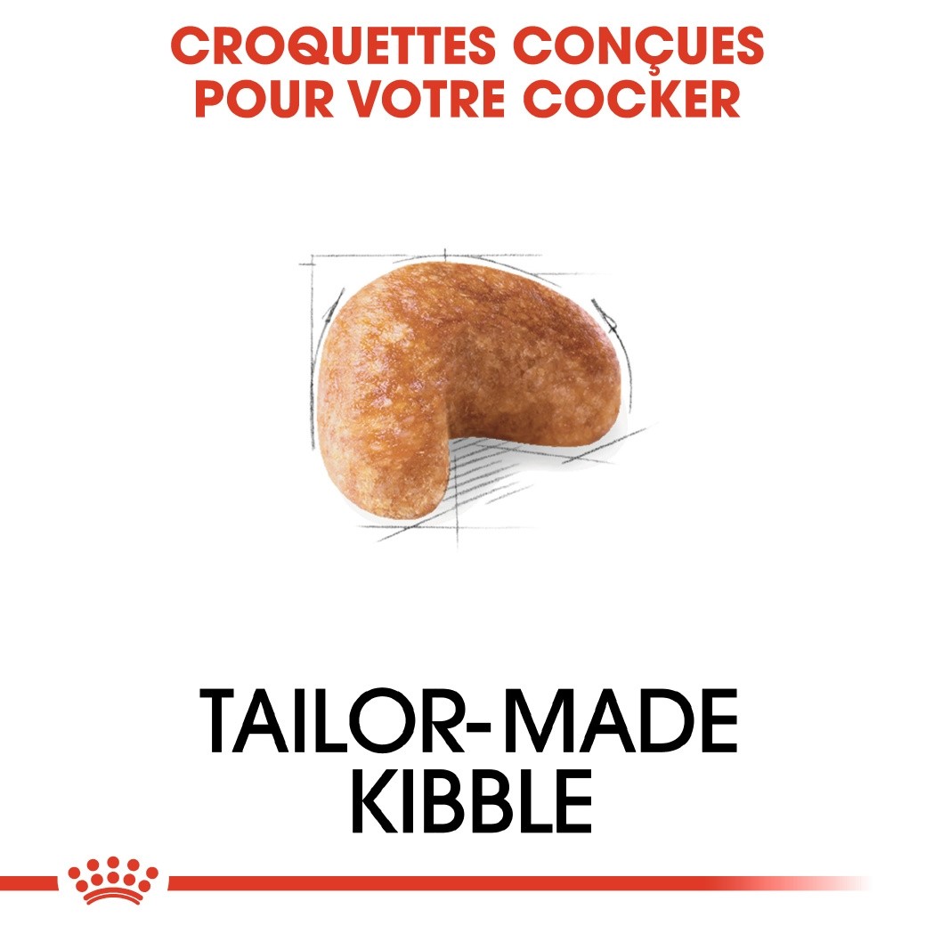 Royal Canin Cocker Adult - croquettes chien