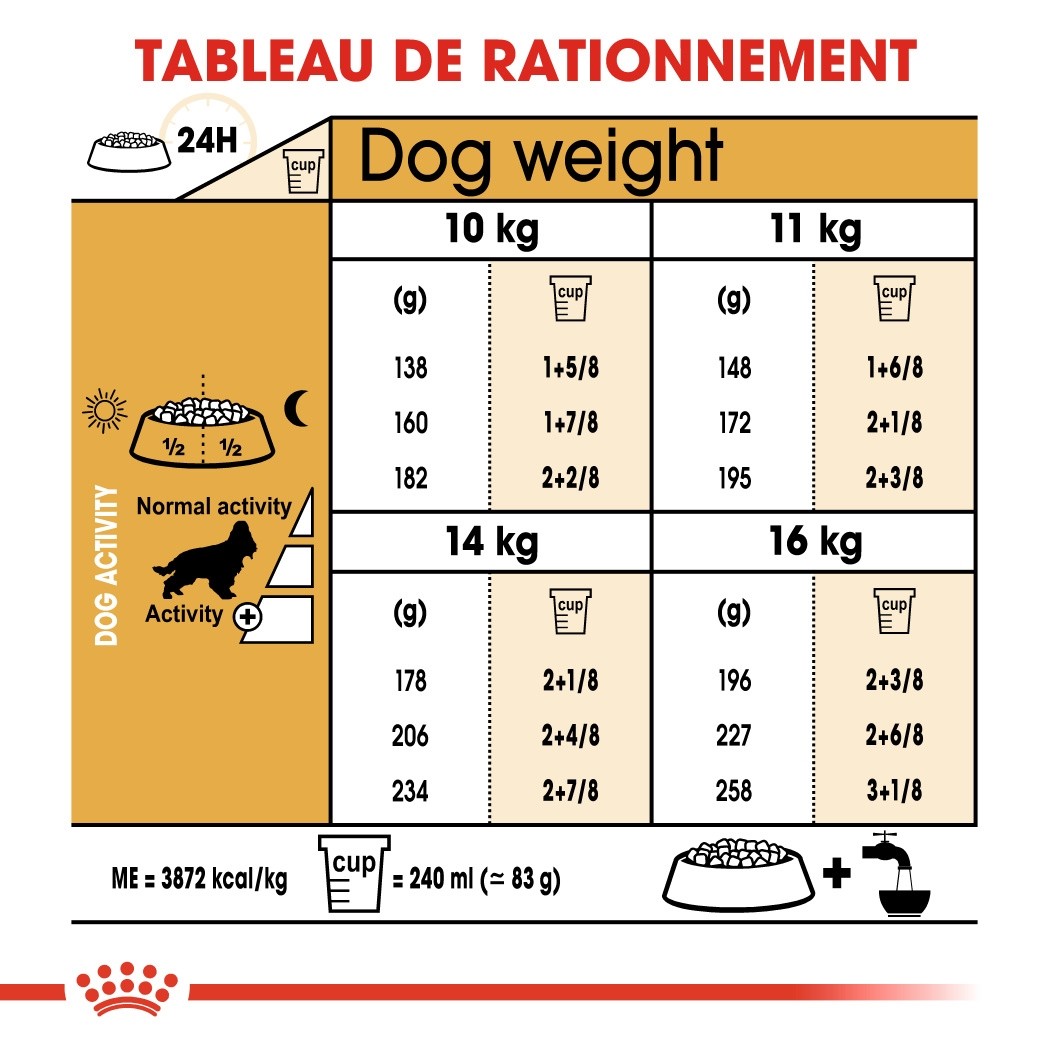 Royal Canin Cocker Adult - croquettes chien
