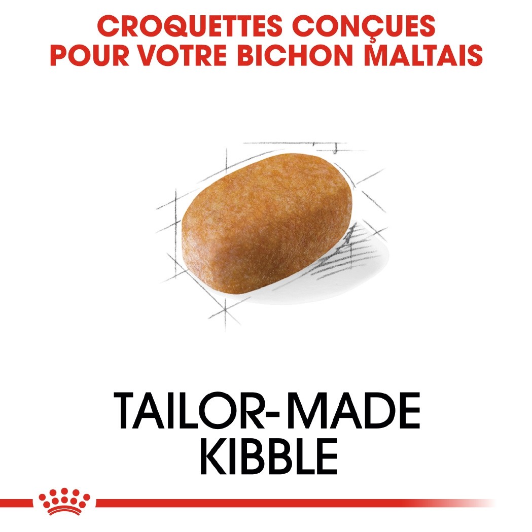 Royal Canin Bichon Maltais Adult - croquettes chien