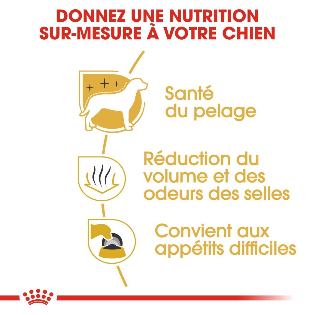 Royal Canin Bichon Maltais Adult - croquettes chien