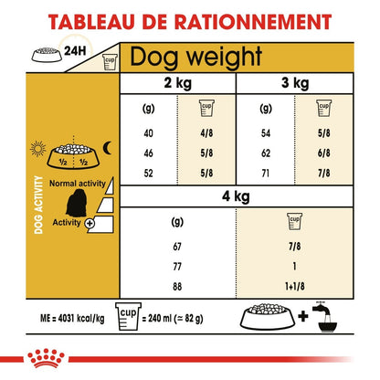 Royal Canin Bichon Maltais Adult - croquettes chien