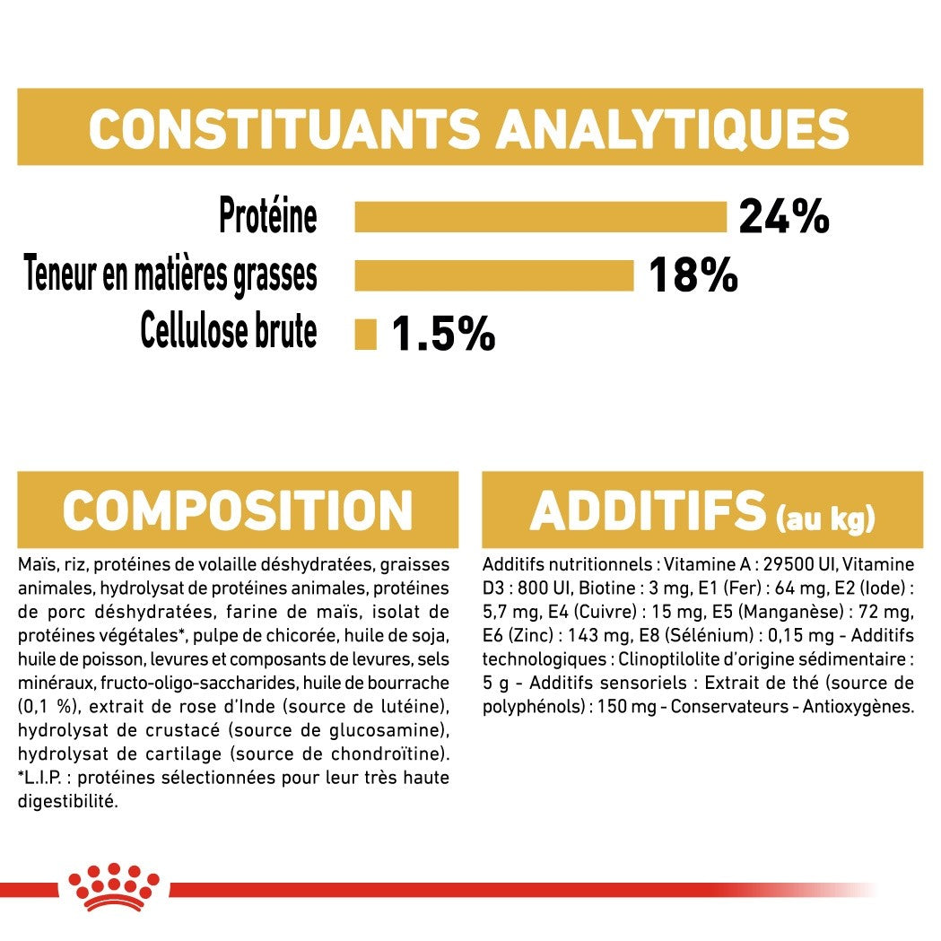 Royal Canin Bichon Maltais Adult - croquettes chien