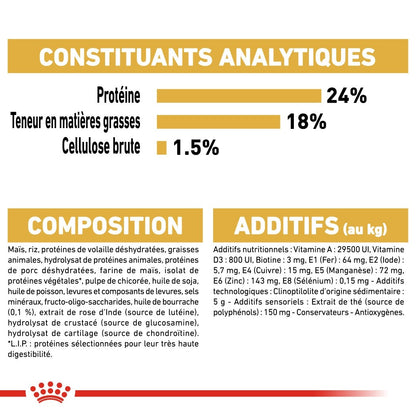 Royal Canin Bichon Maltais Adult - croquettes chien