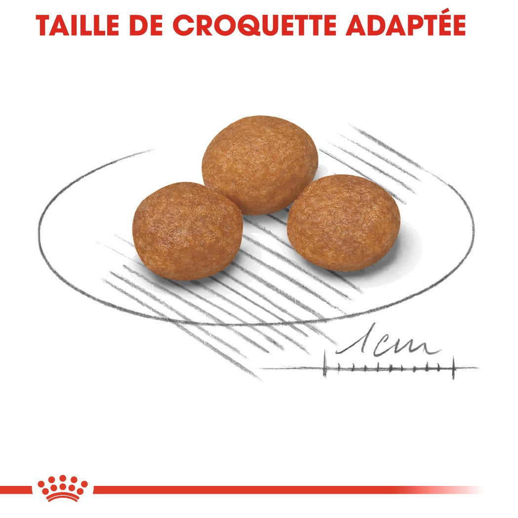 Royal Canin X-Small Adult 8+ - croquettes chien