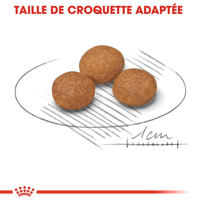 Royal Canin X-Small Adult 8+ - croquettes chien