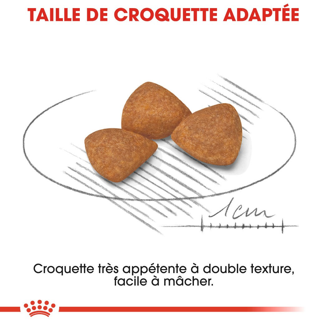 Royal Canin X-Small Ageing 12+ - croquettes chien