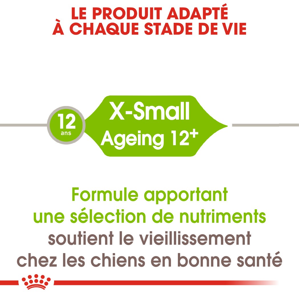 Royal Canin X-Small Ageing 12+ - croquettes chien
