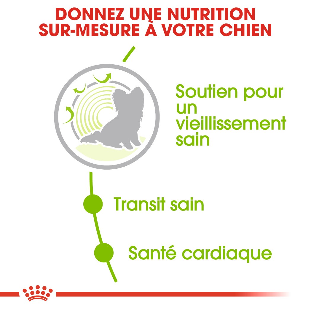 Royal Canin X-Small Ageing 12+ - croquettes chien