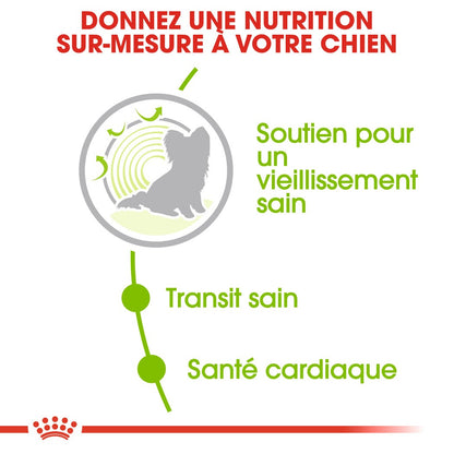 Royal Canin X-Small Ageing 12+ - croquettes chien