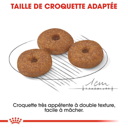 Royal Canin Mini Ageing 12+  - croquettes chien