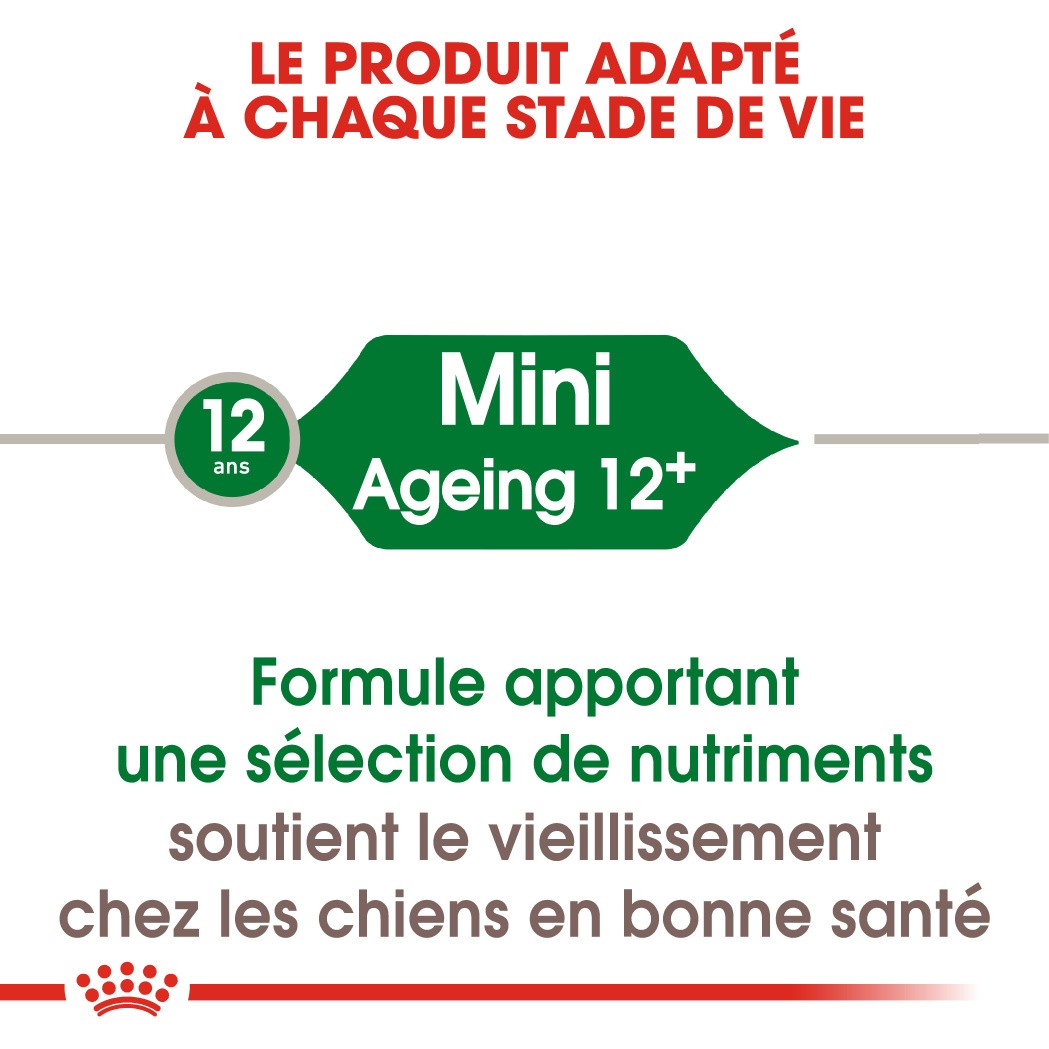 Royal Canin Mini Ageing 12+  - croquettes chien