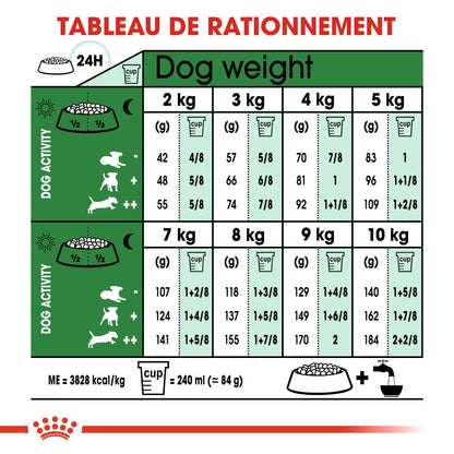 Royal Canin Mini Ageing 12+  - croquettes chien