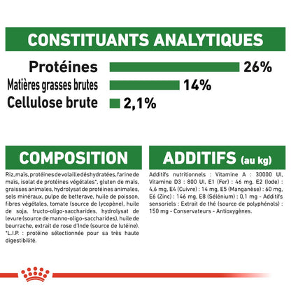Royal Canin Mini Ageing 12+  - croquettes chien