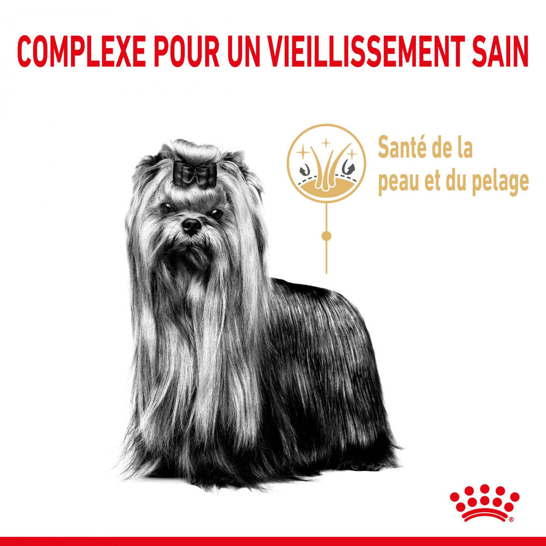 Royal Canin Yorkshire Terrier Adult 8+ - croquettes chien