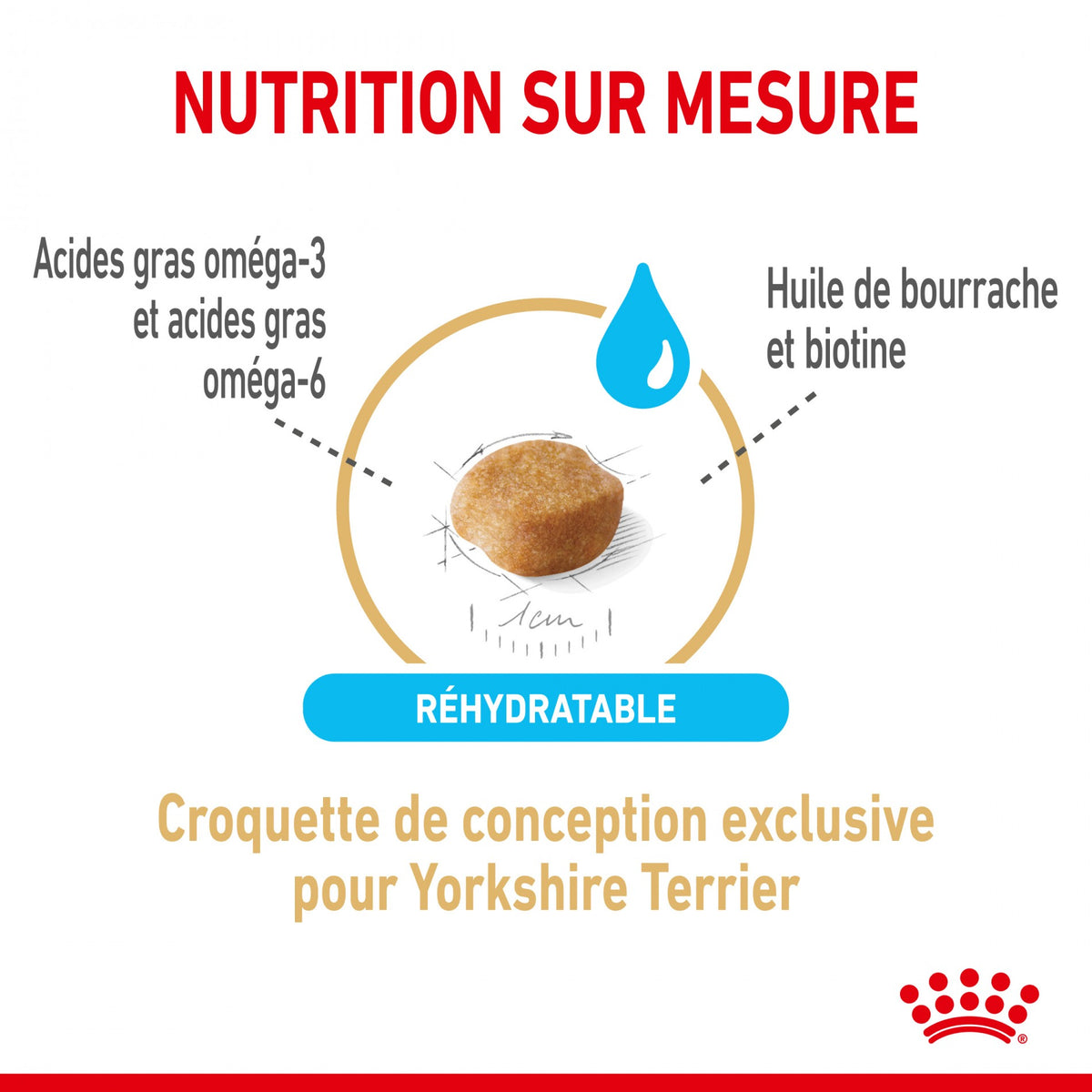 Royal Canin Yorkshire Terrier Adult 8+ - croquettes chien
