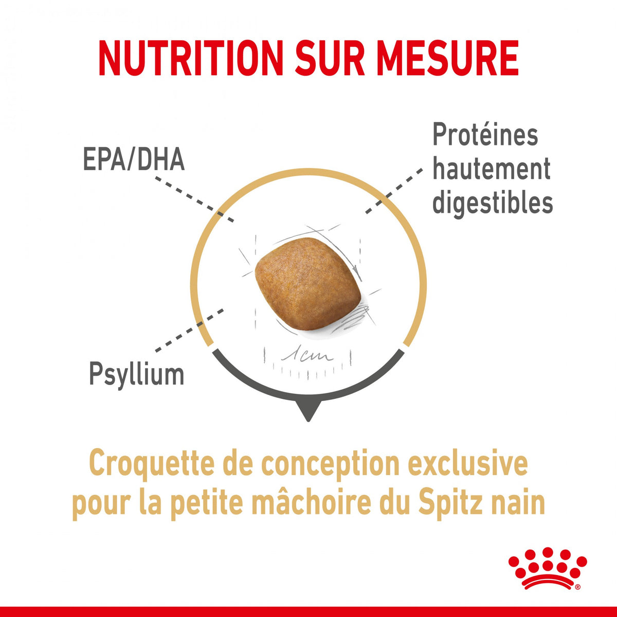 Royal Canin Pomeranian (Spitz Nain) Adult - croquettes chien