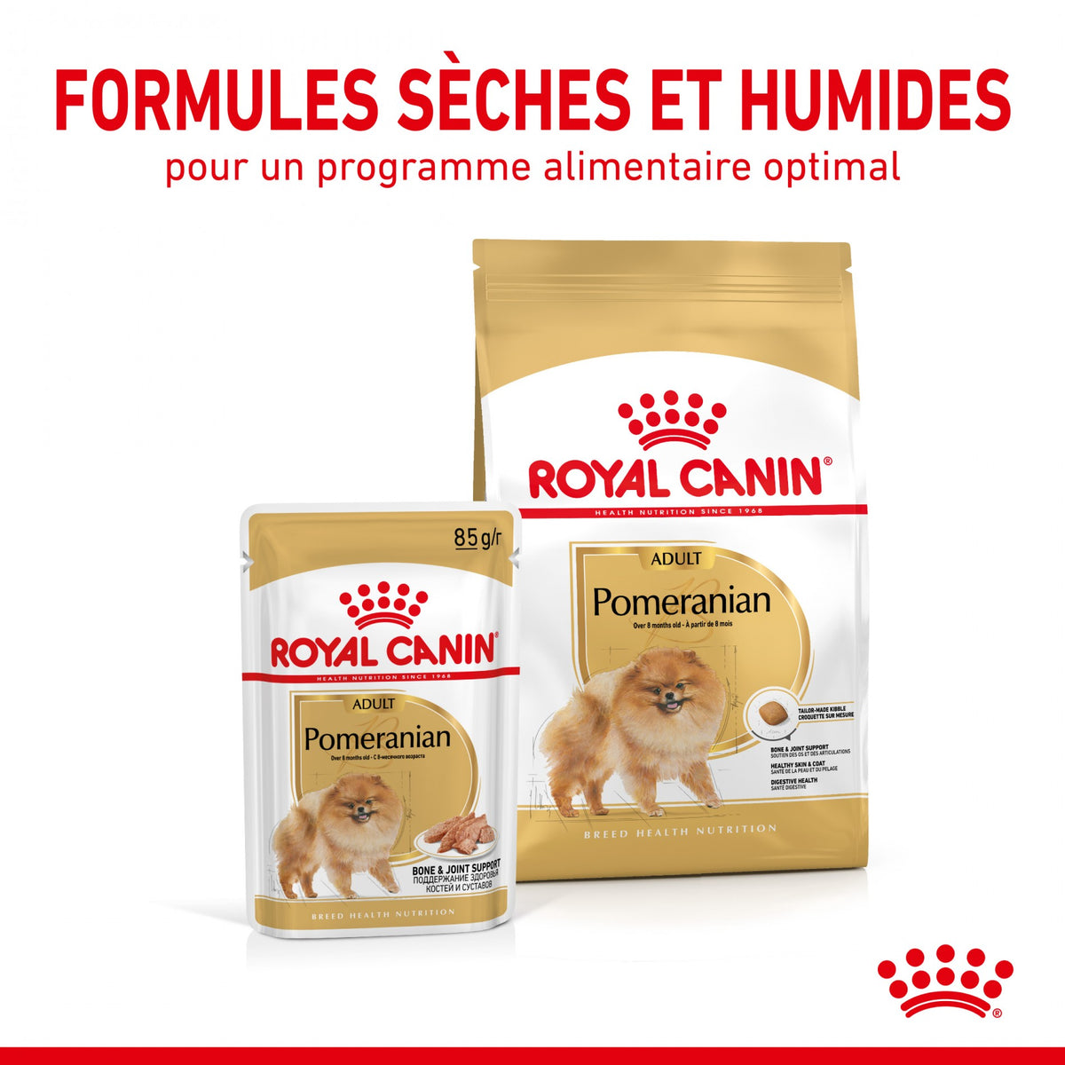 Royal Canin Pomeranian Adult (Spitz Nain) - pâtée chien