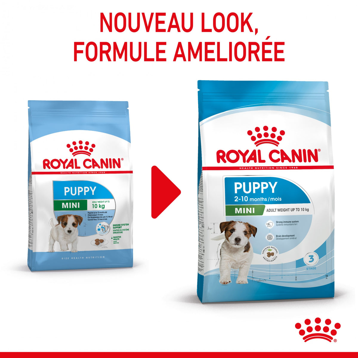 Royal Canin Mini Puppy - croquettes chiot