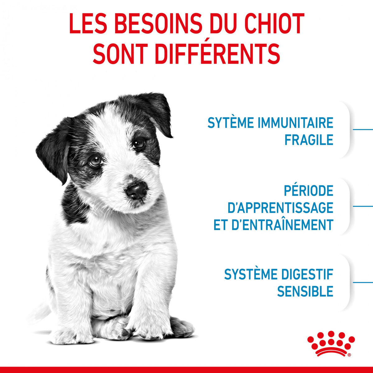 Royal Canin Mini Puppy - croquettes chiot