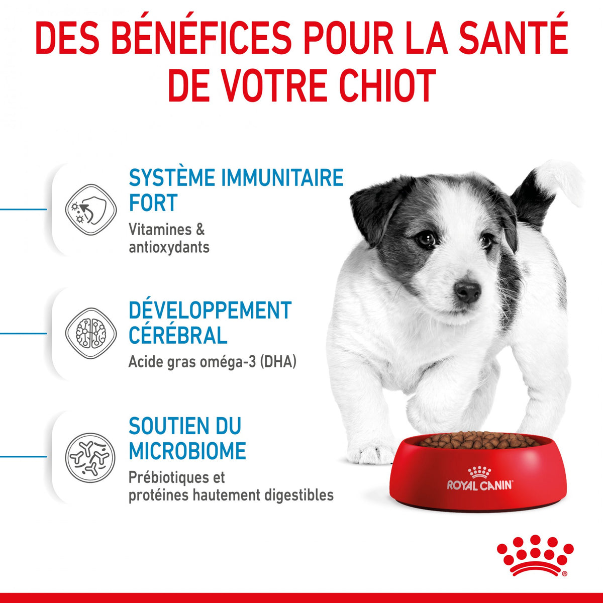 Royal Canin Mini Puppy - croquettes chiot