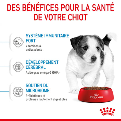 Royal Canin Mini Puppy - croquettes chiot