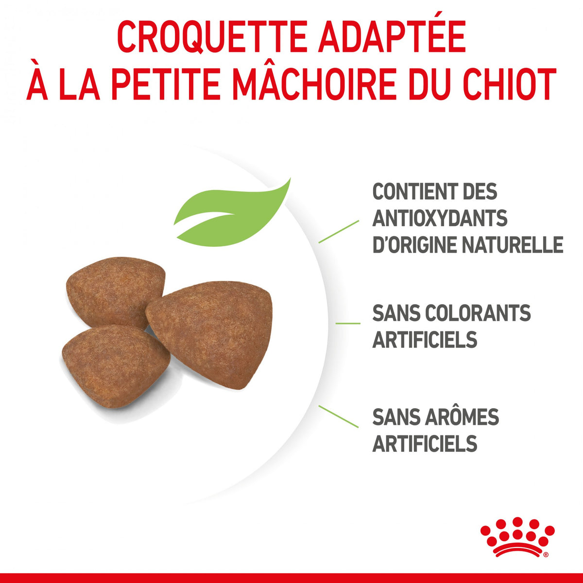 Royal Canin Mini Puppy - croquettes chiot