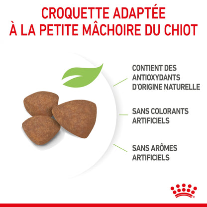 Royal Canin Mini Puppy - croquettes chiot