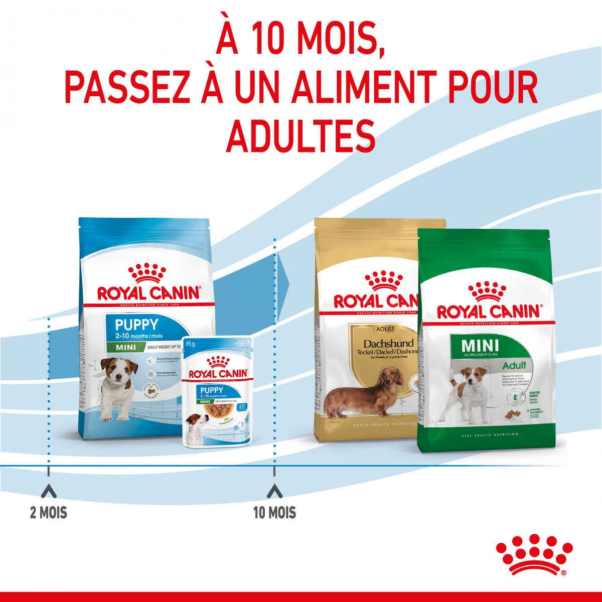 Royal Canin Mini Puppy - croquettes chiot