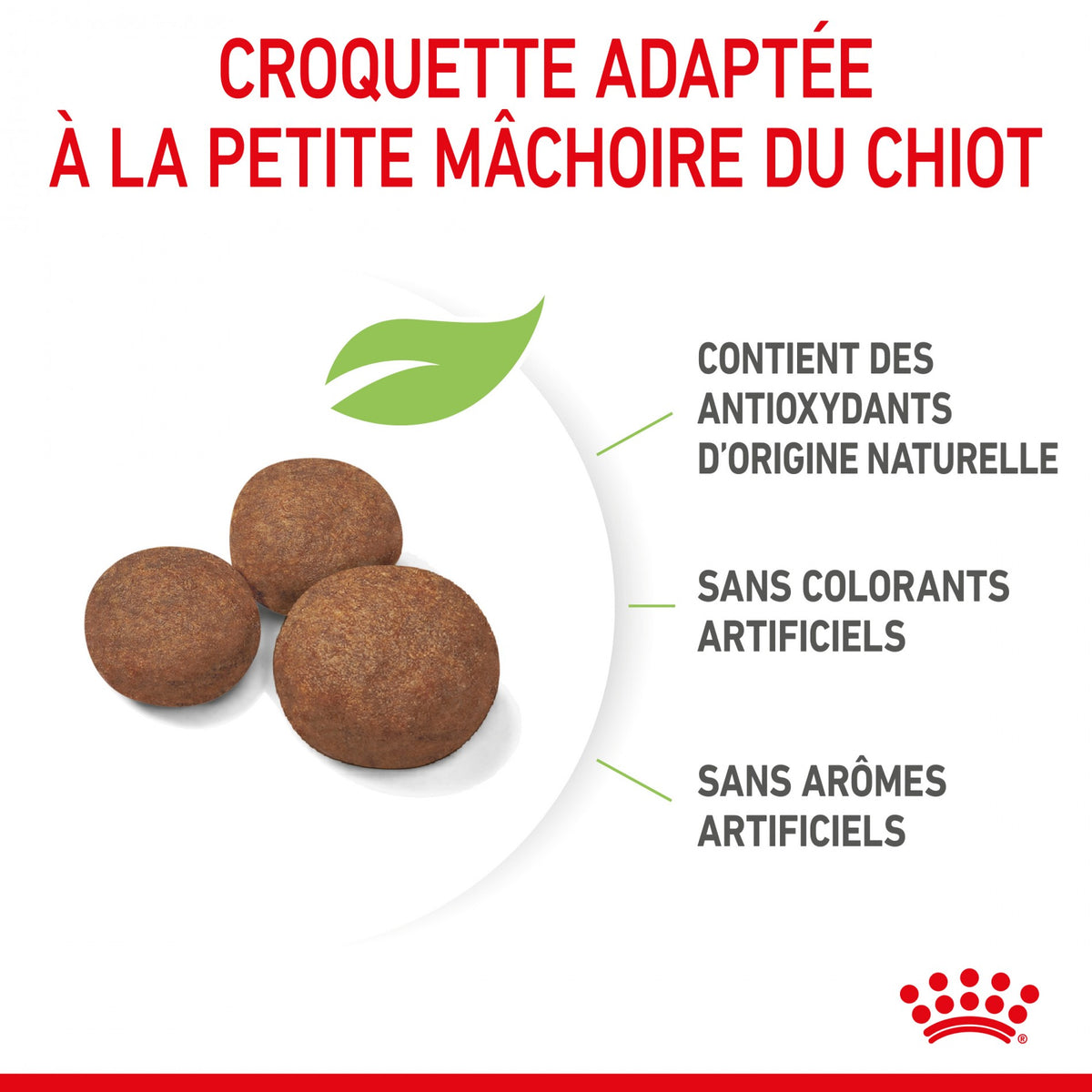 Royal Canin Medium Puppy - croquettes chiot