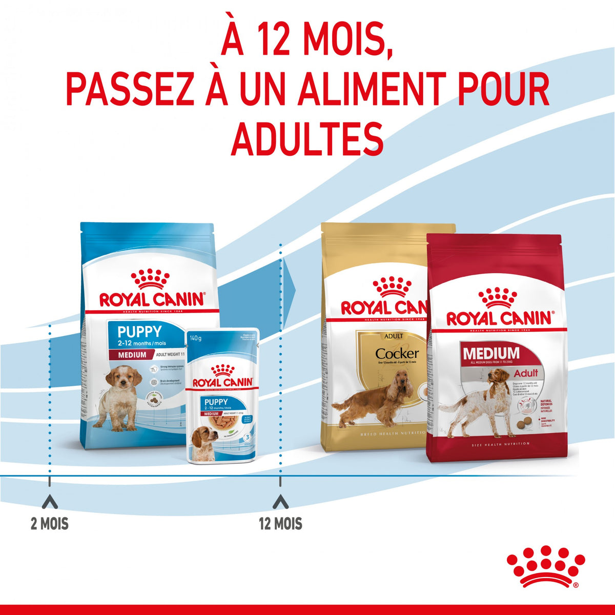 Royal Canin Medium Puppy - croquettes chiot