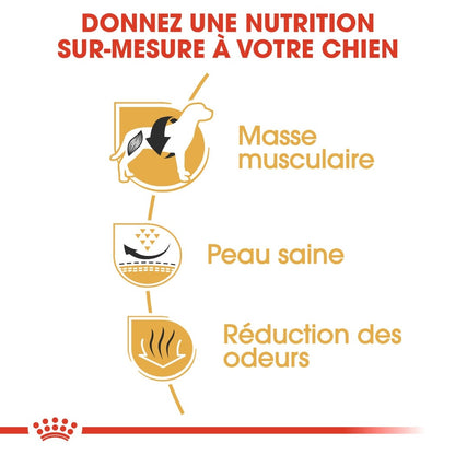 Royal Canin French Bulldog Adult - croquettes chien