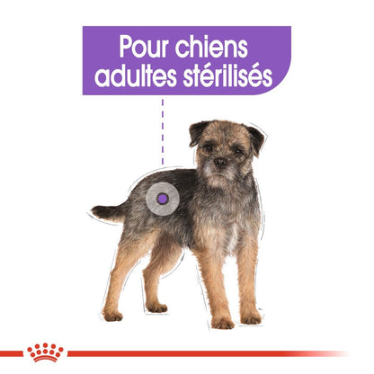 Royal Canin Mini Sterilised - croquettes chien