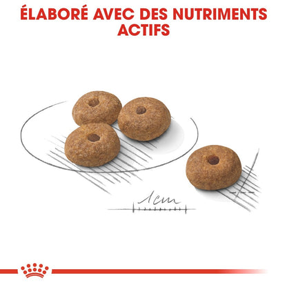 Royal Canin Mini Sterilised - croquettes chien