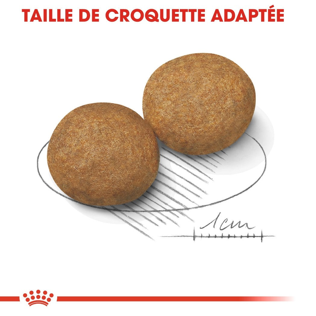 Royal Canin Medium Adult - croquettes chien