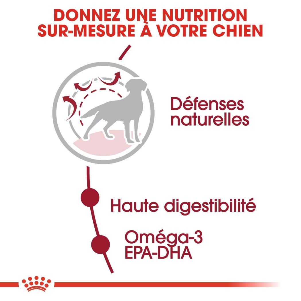 Royal Canin Medium Adult - croquettes chien