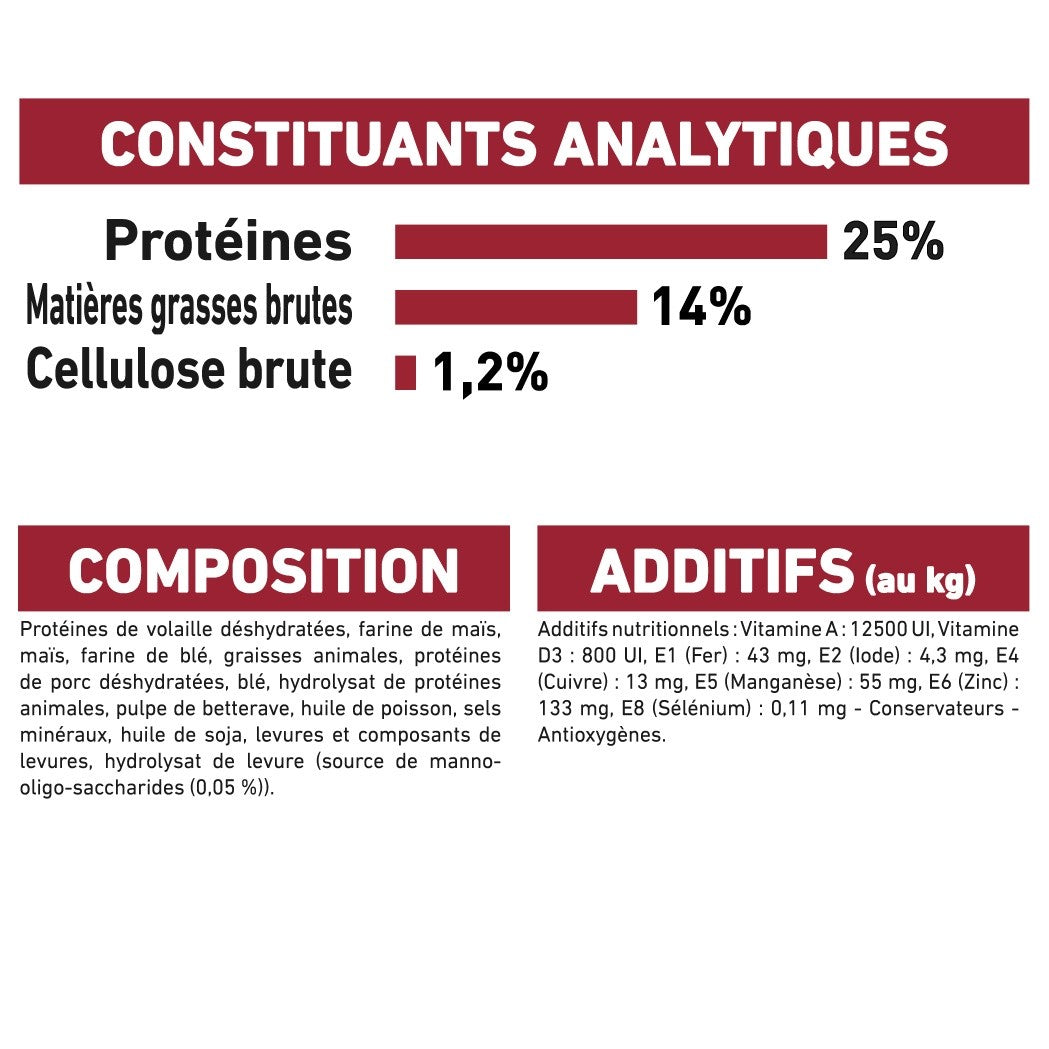 Royal Canin Medium Adult - croquettes chien