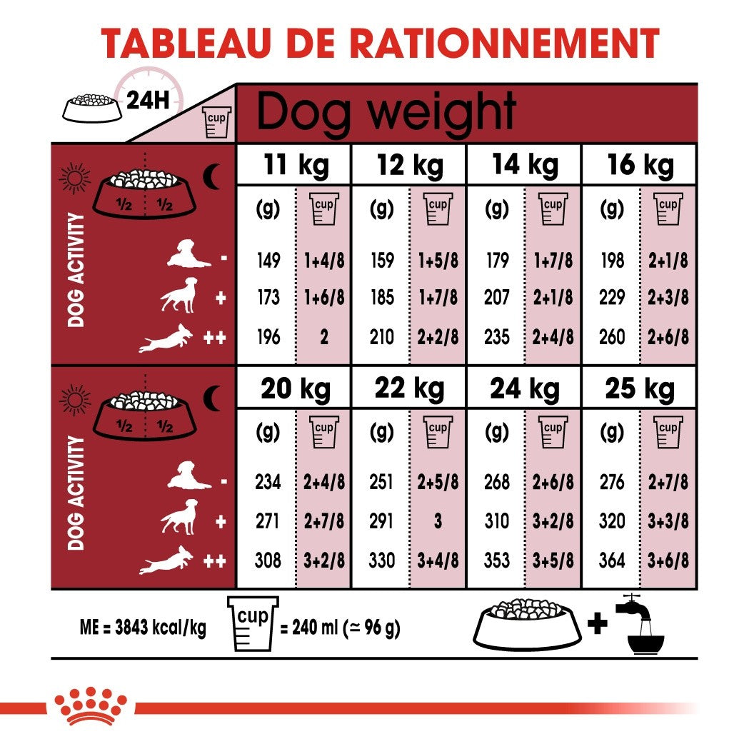 Royal Canin Medium Adult - croquettes chien