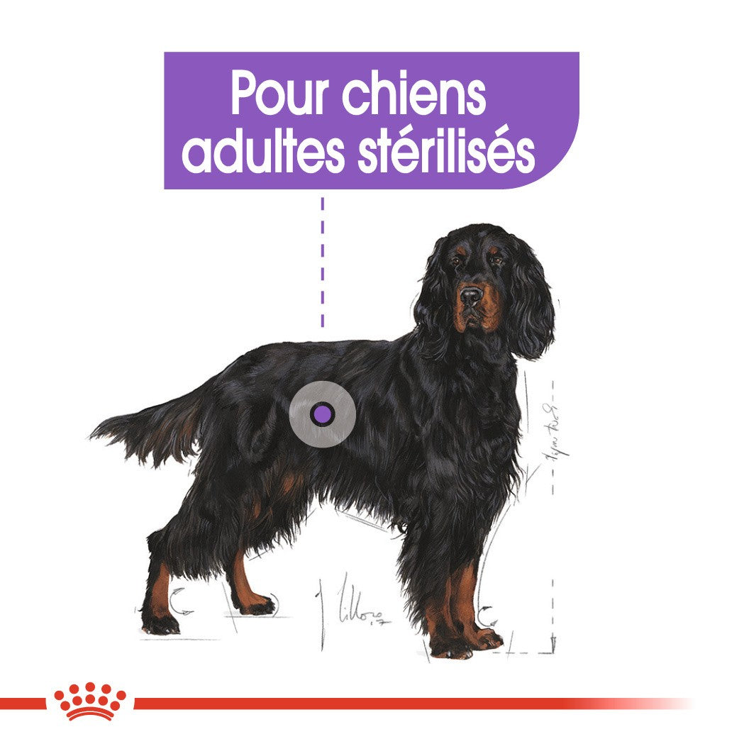 Royal Canin Maxi Sterilised - Croquettes pour chien 12kg