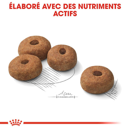 Royal Canin Maxi Sterilised - Croquettes pour chien 12kg