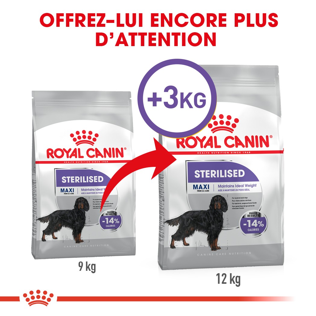 Royal Canin Maxi Sterilised - Croquettes pour chien 12kg