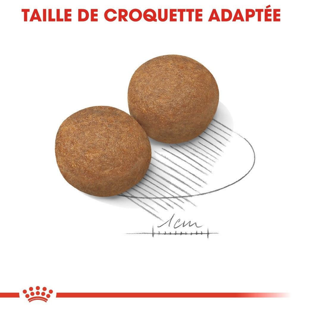 Royal Canin Maxi Adult - croquettes chien